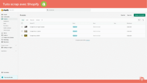 Guide Libize pour fiches produits Shopify capture - Utilisez Libize avec Shopify – Guide pour exporter vos fiches-produits dans votre boutique