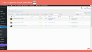 Guide Libize pour fiches produits WooCommerce capture - Utilisez Libize avec WooCommerce – Guide pour exporter vos fiches-produits dans votre boutique